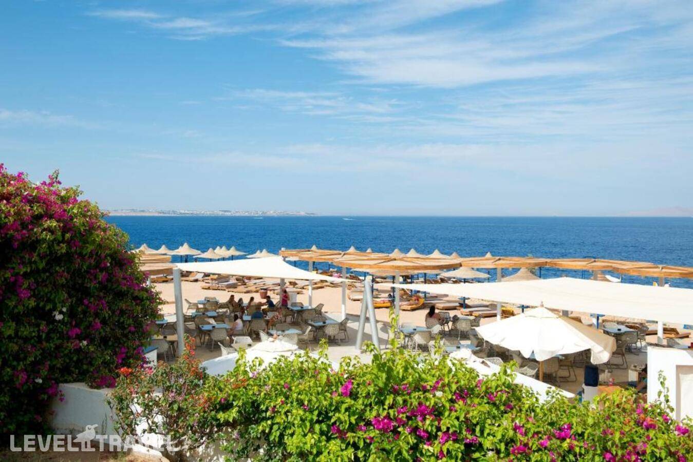 фотографии отеля Otium Hotel Aloha в Египет(Шарм-эль-Шейх) - фото №12