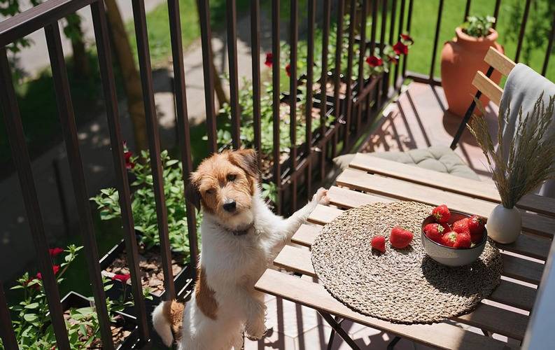 Karmann's Villa Korte