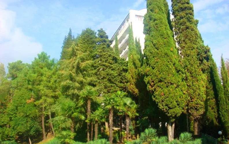 Светлана Голд