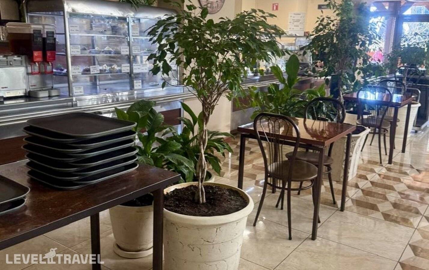 фотографии отеля Светлана Голд в Россия(Хостинский район) - фото №35