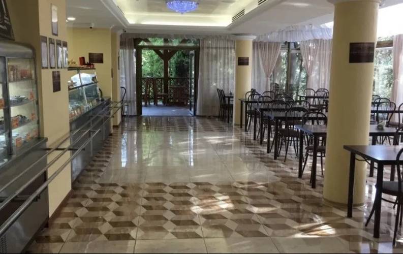 Светлана Голд