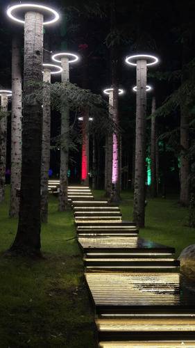 Magic Forest
