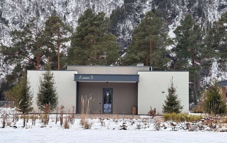 Грушевый Цвет