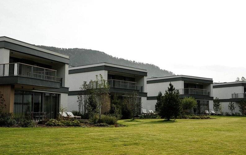 Грушевый Цвет