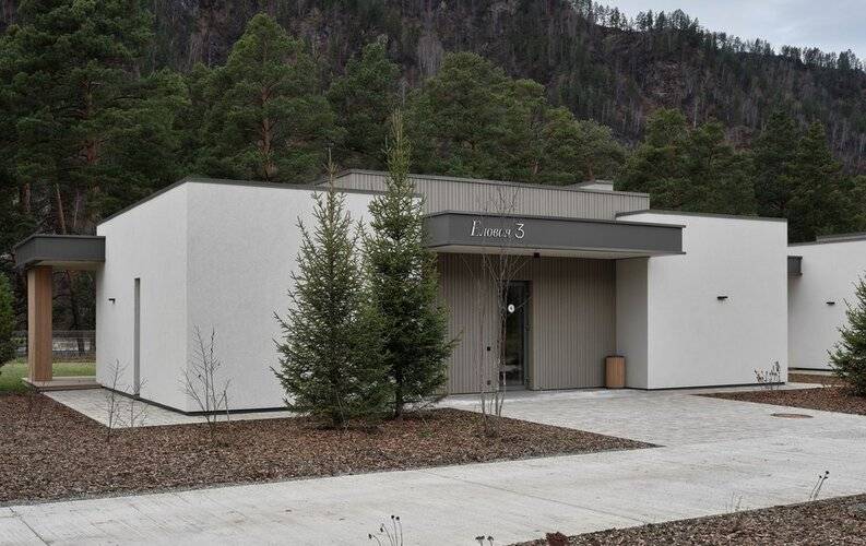 Грушевый Цвет