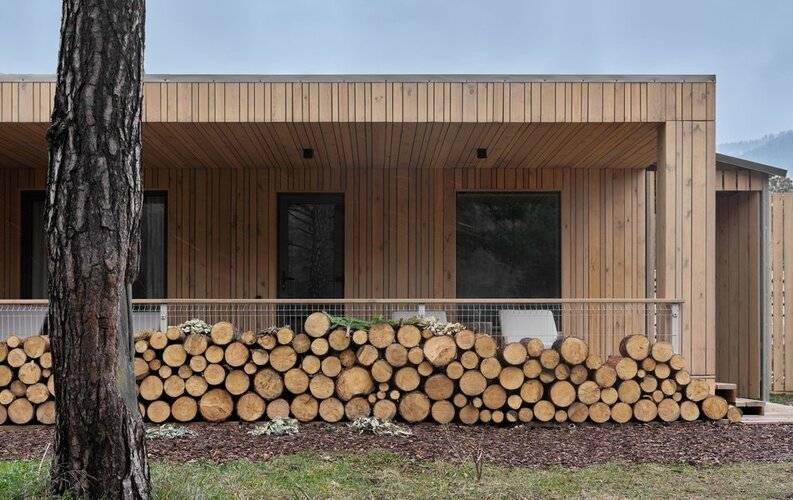 Грушевый Цвет