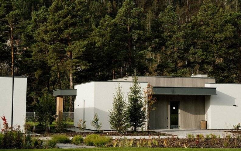 Грушевый Цвет