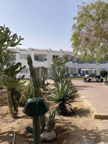 WB TRAVEL Dreams Vacation Resort