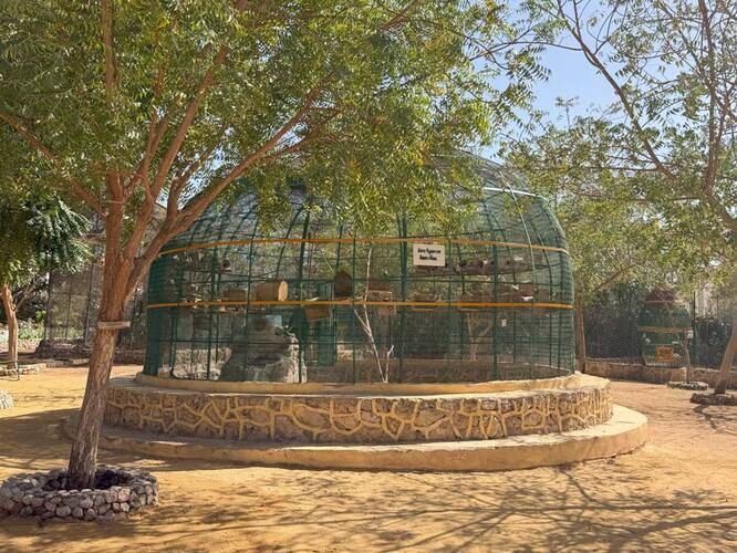 WB TRAVEL Dreams Vacation Resort