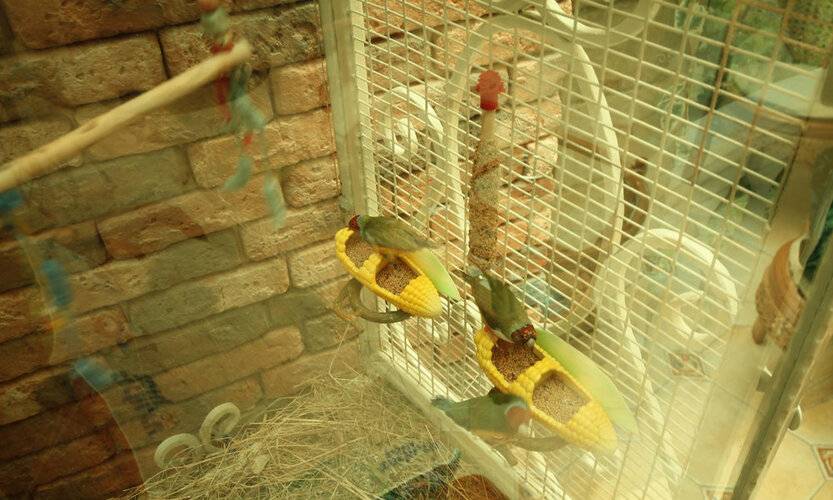 Апартаменты Анита