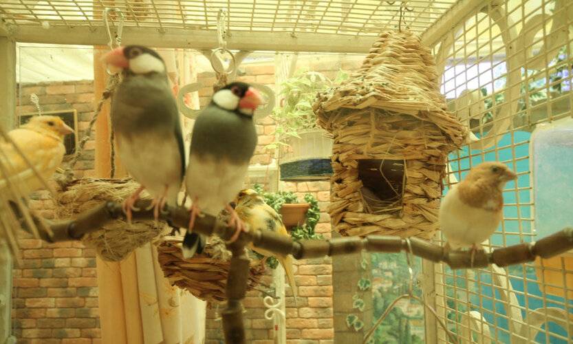 Апартаменты Анита