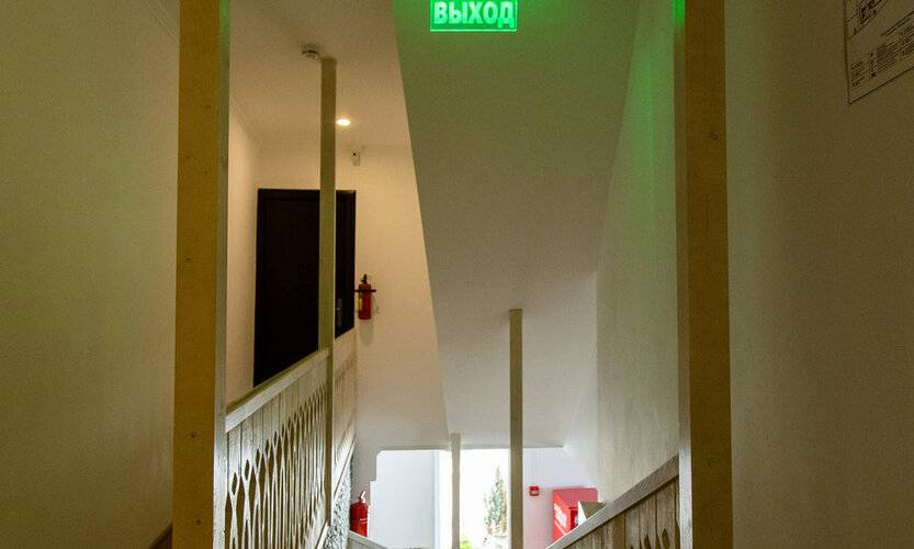 Барракуда