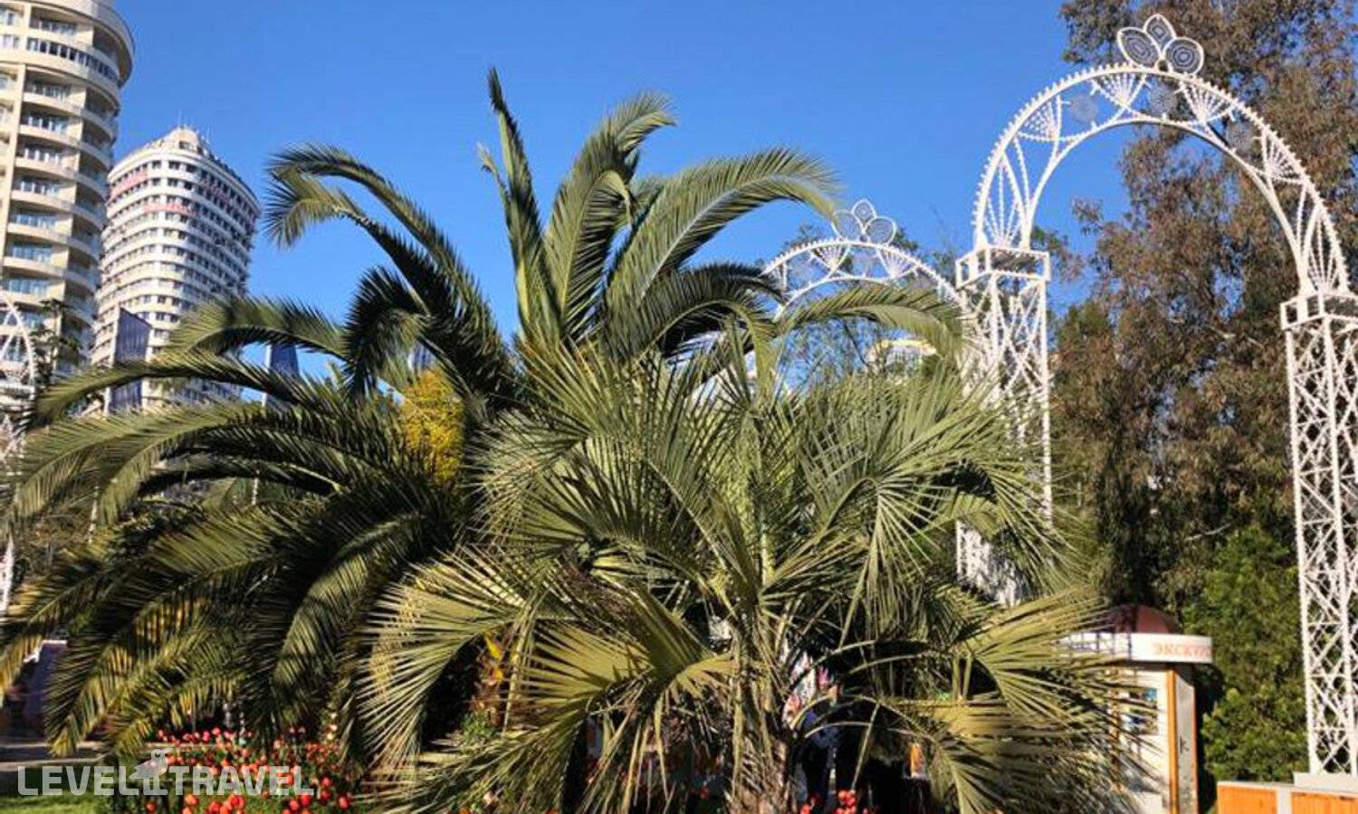 фотографии отеля Курорты Красной Аллеи в Россия(Сочи - Центр) - фото №4