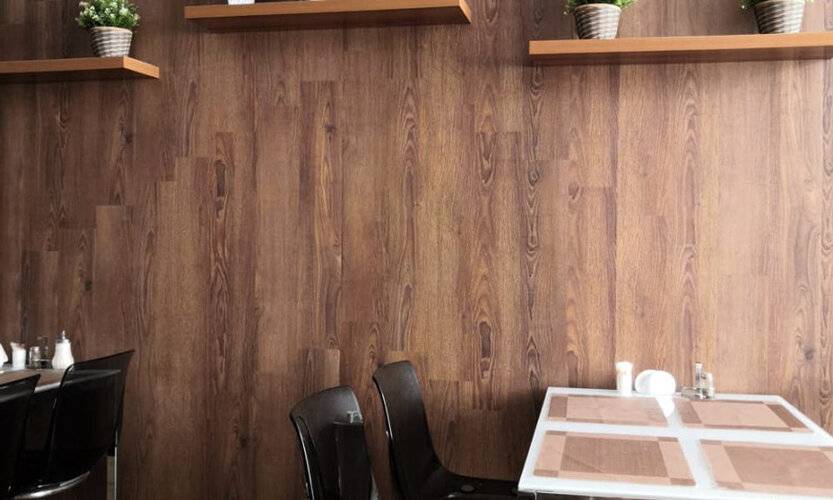 Орхидея — фото 5