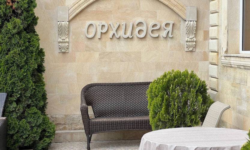 Орхидея — фото 4