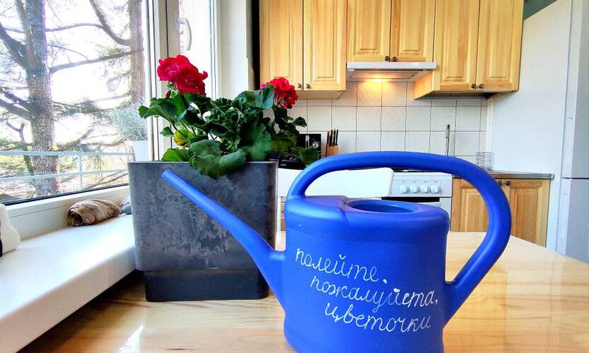 На Красноармейской 29а — фото 8