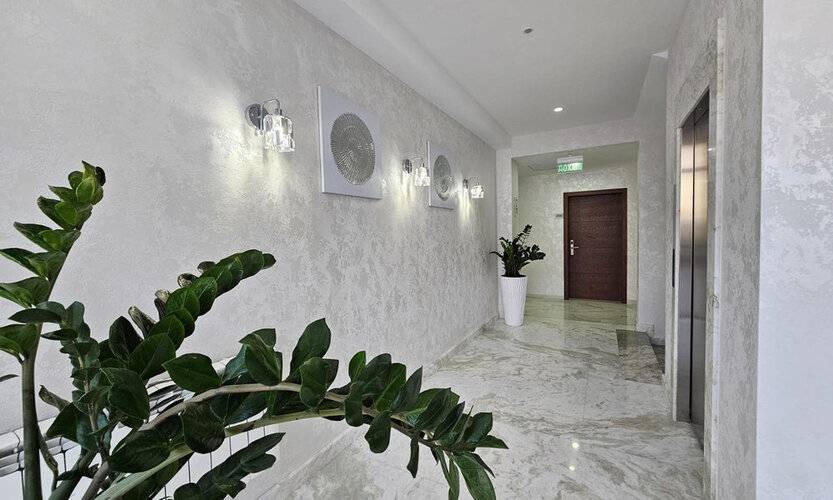 Династия Сочи