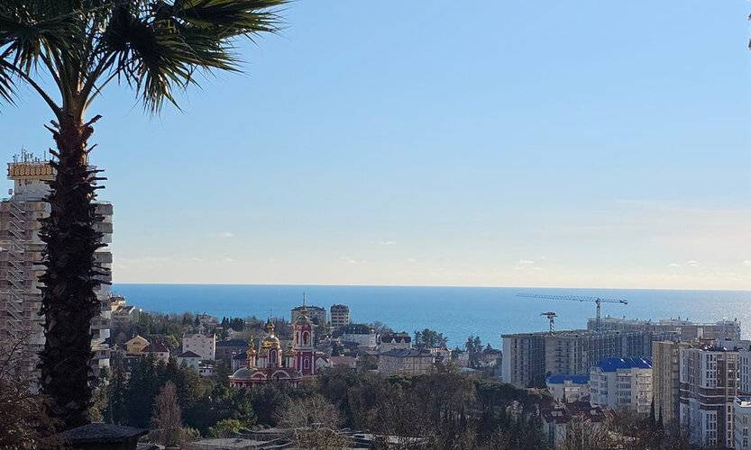 Династия Сочи