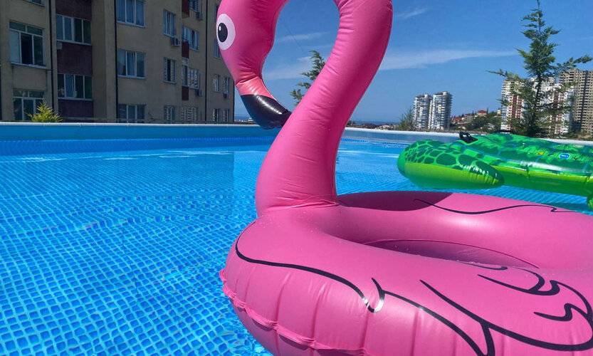 Династия Сочи