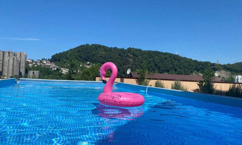 Династия Сочи