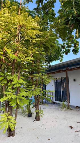 Гостевой Дом Navaya Dhiffushi