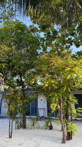 Гостевой Дом Navaya Dhiffushi