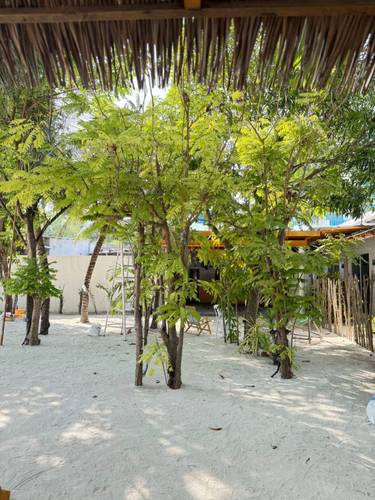 Гостевой Дом Navaya Dhiffushi