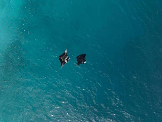 Biosphere By Hawks Hotels Kamadhoo Baa Atoll