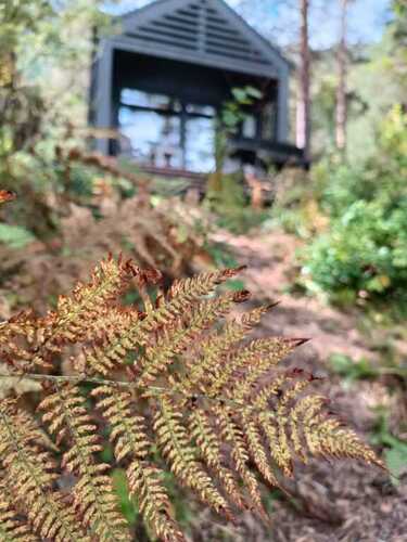 Belka Forest House