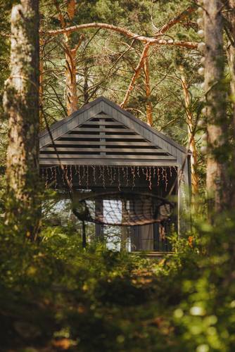 Belka Forest House