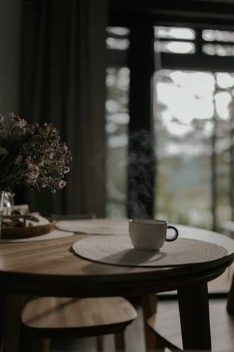 Belka Forest House