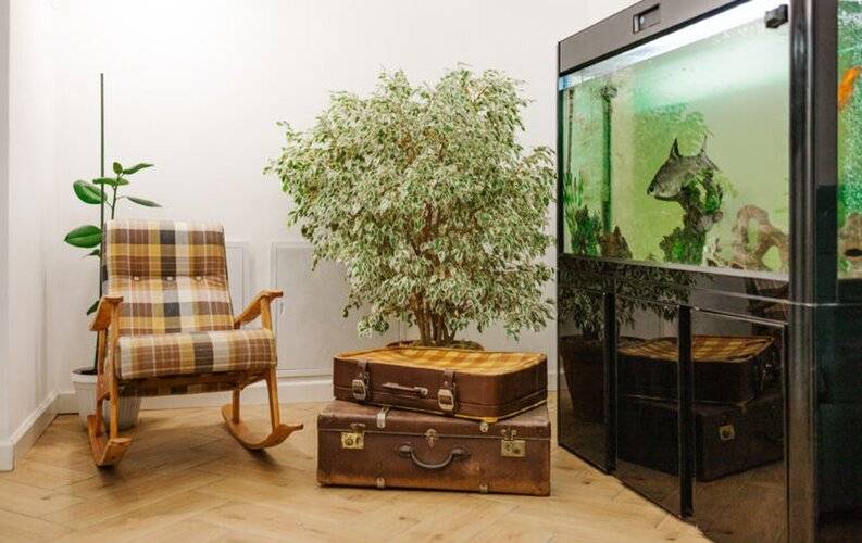 Дублин Сити