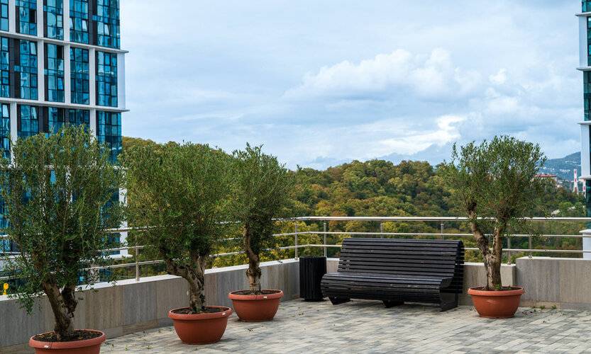 Студия В ЖК Сочи Парк На Ясногорской 16/6к5 — фото 6