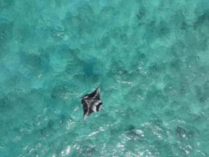 Wings By Hawks Hotels