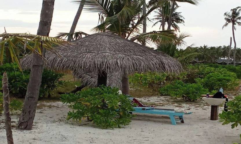 Sea Breeze View