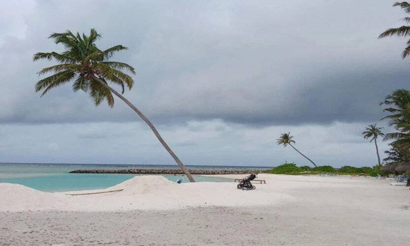 Sea Breeze View