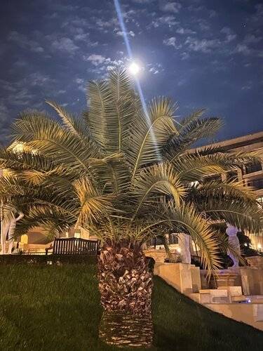 Камелия Апарт-Отель