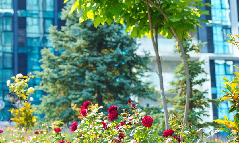 Летоапарт На Ясногорской 16/6к2 — фото 4