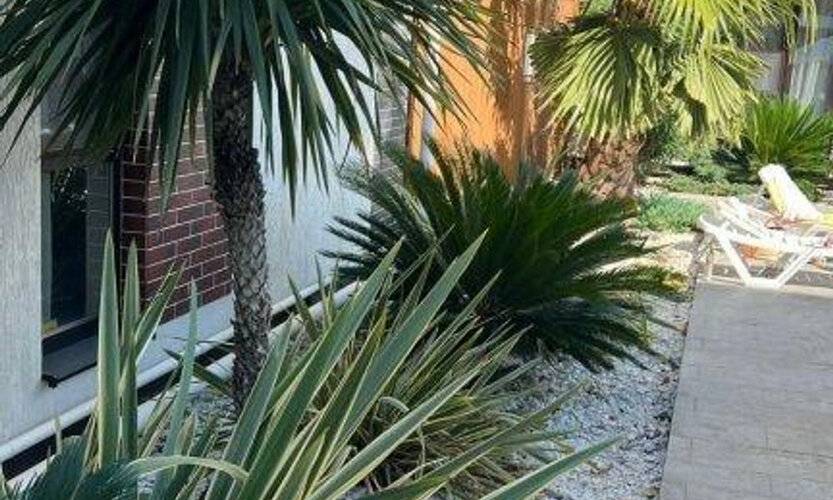 Alicekeys (Алискис) На Улице Молодогвардейская 2/60 — фото 6