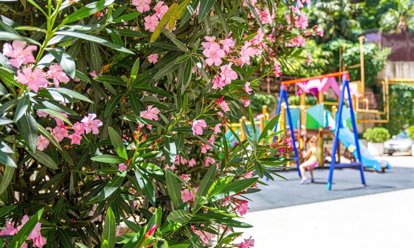 Двухкомнатная Квартира С Балконом И Видом На Море Романовский Lamare — фото 10