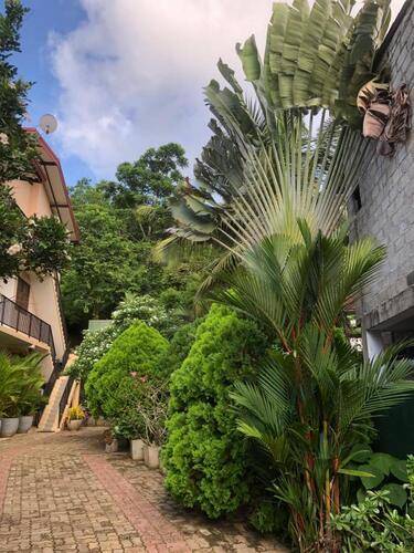 Kumara Guest House & Apartment