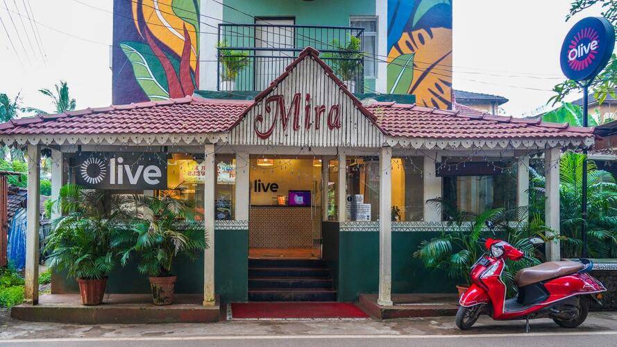 Olive Calangute Miira