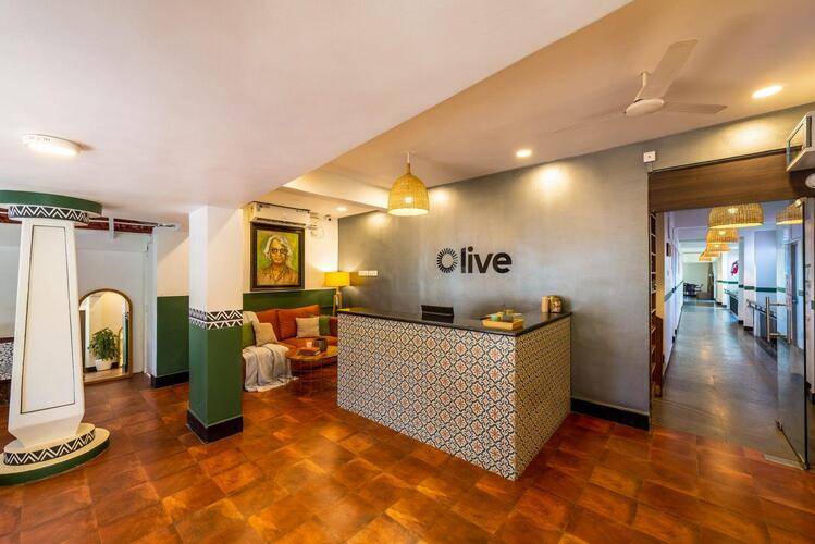 Olive Calangute Miira