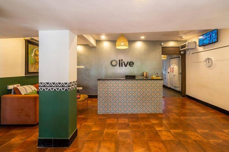 Olive Calangute Miira