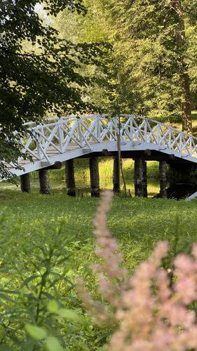 Князь Гвидон