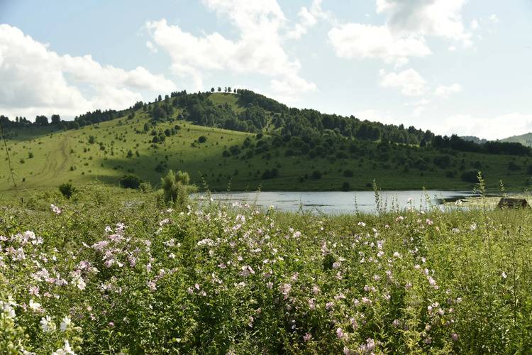 База Отдыха Сердце Алтая