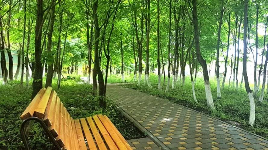Квартира У Нарзанов