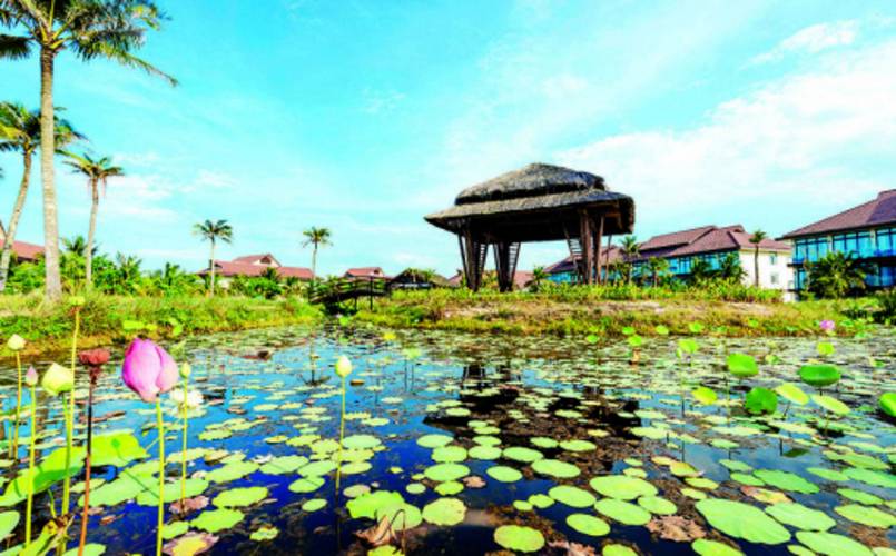 Robinson Nam Hoi An
