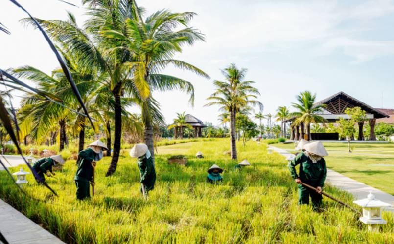 Robinson Nam Hoi An