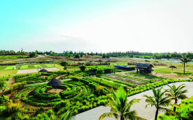 Robinson Nam Hoi An